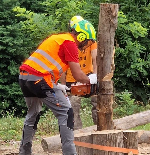 Al Cfp Mondovì il 16 settembre le selezioni per i corsi F2 e F3 per operatori forestali