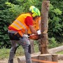 Al Cfp Mondovì il 16 settembre le selezioni per i corsi F2 e F3 per operatori forestali