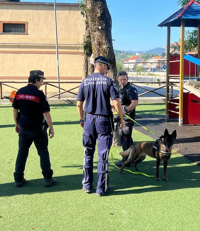 Operazione dei Forestali e della Polizia locale per fermare dei casi di avvelenamento di cani e gatti