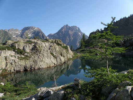 Il Parco Alpi Marittime (repertorio)