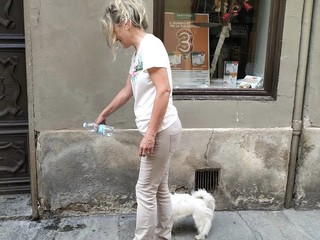 Saluzzo, in via Gualtieri bottigliette d'acqua da versare sulla pipì dei cani