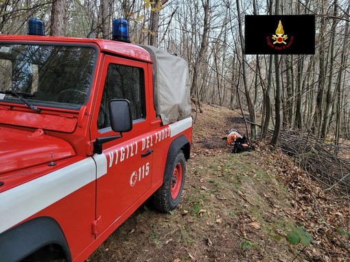 Demonte, principio d'incendio boschivo in località Podio