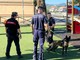 Operazione dei Forestali e della Polizia locale per fermare dei casi di avvelenamento di cani e gatti