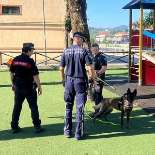 Operazione dei Forestali e della Polizia locale per fermare dei casi di avvelenamento di cani e gatti