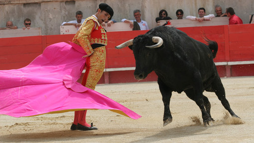 A Cuneo l'incontro culturale  &quot;La corrida: Tradizione o crudeltà?”