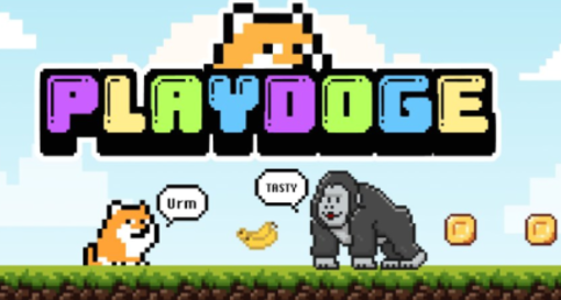 Come comprare PlayDoge ($PLAY): guida per principianti