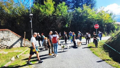 &quot;La Passeggiata dei Fiocchi Rossi&quot;: domenica 9 febbraio appuntamento al Canile Rifugio 281 di San Michele Mondovì