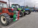 Centocinquanta trattori in protesta a Santo Stefano Belbo: “Vogliamo risposte concrete” [FOTO E VIDEO]