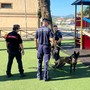 Operazione dei Forestali e della Polizia locale per fermare dei casi di avvelenamento di cani e gatti