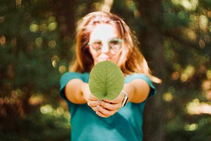 RedMoringa accelera la crescita con il supporto del fondo La Gemma: innovazione e sostenibilità per il benessere