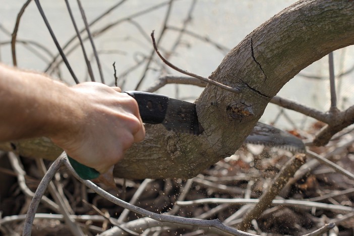 Lavori sul verde pubblico e vegetazione, l'Amministrazione comunale: “Ceva più bella e più sicura”