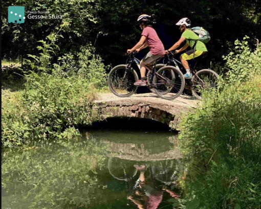 Un agosto in compagnia del Parco fluviale