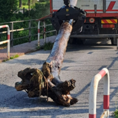 Maltempo, a Mondovì avviata la pulizia dell'Ellero per la rimozione dei detriti