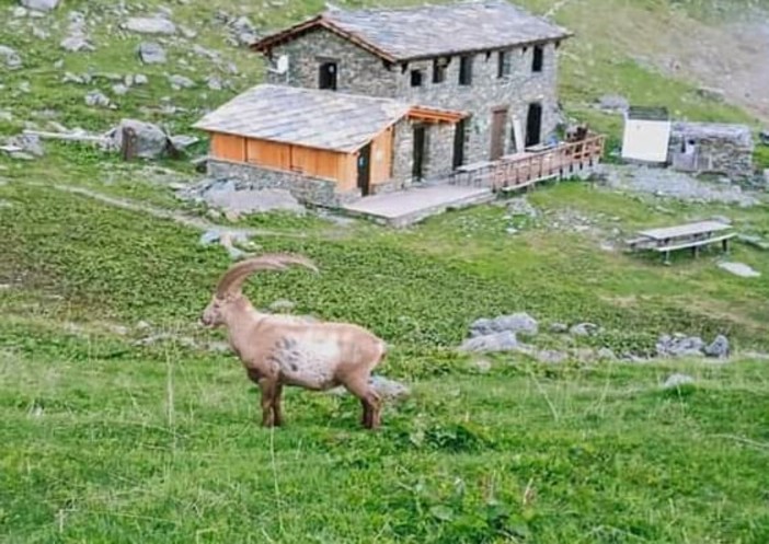 La storia dell'Alpetto di Oncino, il rifugio museo che ha segnato la storia del CAI [VIDEO]