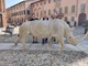 Il rinoceronte di Franco Alessandria è “planato” su Cherasco