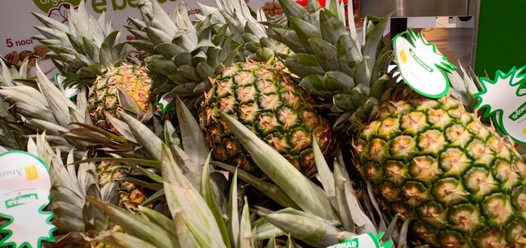 Taggia - all'ipermercato Conad la macchina che ti taglia l'ananas, il primo  cliente? Il sindaco Conio