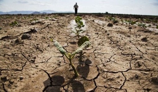 Caldo anomalo anche nei &quot;giorni della merla&quot;, Coldiretti Cuneo lancia l'allarme siccità