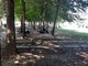 Stagionali accampati nel Parco Gullino a Saluzzo in uno scatto di qualche giorno fa