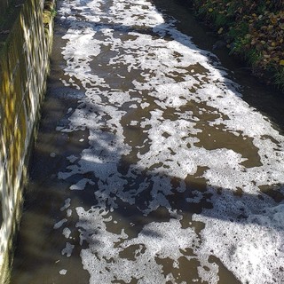 La schiuma nel canale Sarmassa