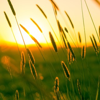 Caldo intenso fino a Ferragosto, con brevi interruzioni temporalesche