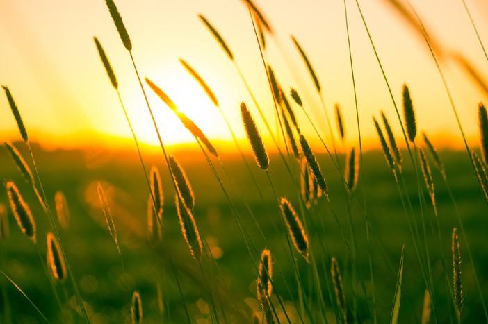 Caldo intenso fino a Ferragosto, con brevi interruzioni temporalesche