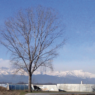 Tutela dell’ambiente e del paesaggio in provincia di Cuneo: se ne parlerà in un incontro a Savigliano