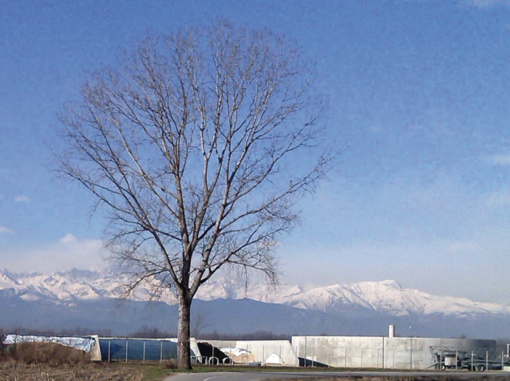 Tutela dell’ambiente e del paesaggio in provincia di Cuneo: se ne parlerà in un incontro a Savigliano