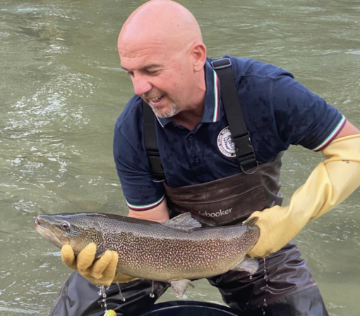 Festa del Parco di Fossano: la Fipsas ripopola il fiume con il lancio di trote marmorata