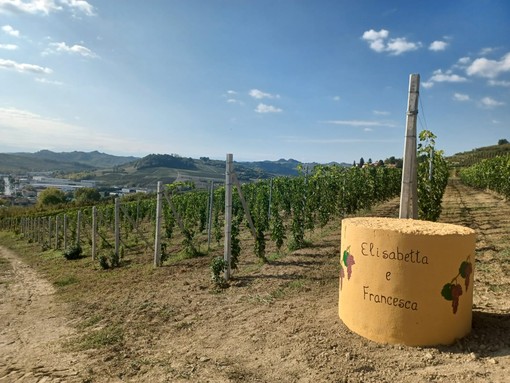 Uno dei tubi di cemento decorati tra le vigne di Guarene
