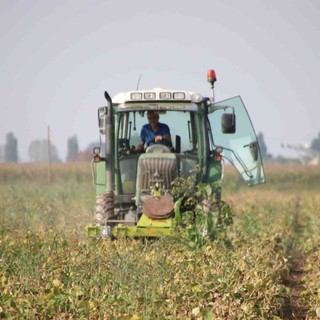 Coldiretti Cuneo: concessa l’assegnazione supplementare del gasolio