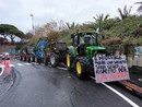 Il messaggio degli agricoltori arriva sul palco dell'Ariston: “Paghiamo decisioni sbagliate”