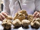 Novantamila!! La Fiera del Tartufo Bianco di Alba chiude con grandi numeri