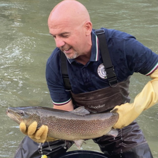 Festa del Parco di Fossano: la Fipsas ripopola il fiume con il lancio di trote marmorata