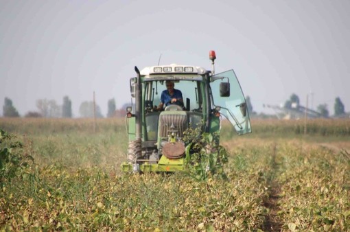 Coldiretti Cuneo: concessa l’assegnazione supplementare del gasolio