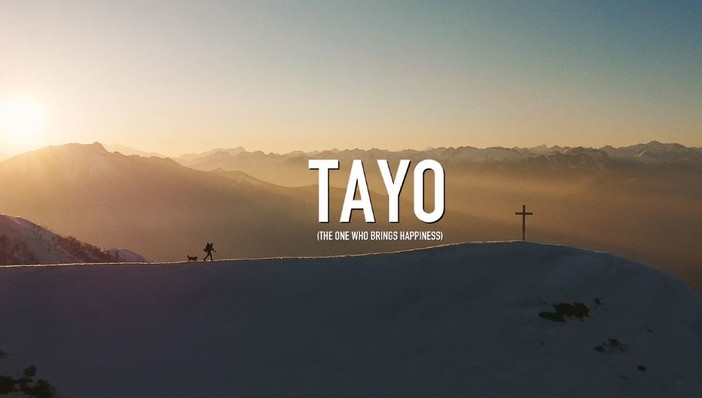 &quot;Tayo&quot;: l'importanza del legame tra uomo e cane in un cortometraggio di Matteo Rolfi (VIDEO)