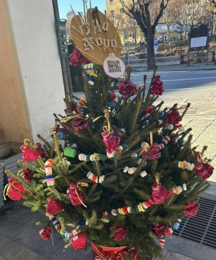 “Alberi di Natale”: a Mondovì ritorna il contest promosso dal Circolo delle Idee