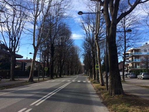 Viale degli Angeli a Cuneo