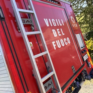 Elva, bovino infortunato viene soccorso dai Vigili del Fuoco