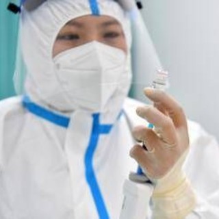 Cina, scoperto nuovo coronavirus: si trasmette dai pipistrelli agli uomini