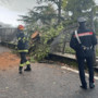 Maltempo Roma, albero cade a Rocca di Papa: niente feriti ma danni a auto